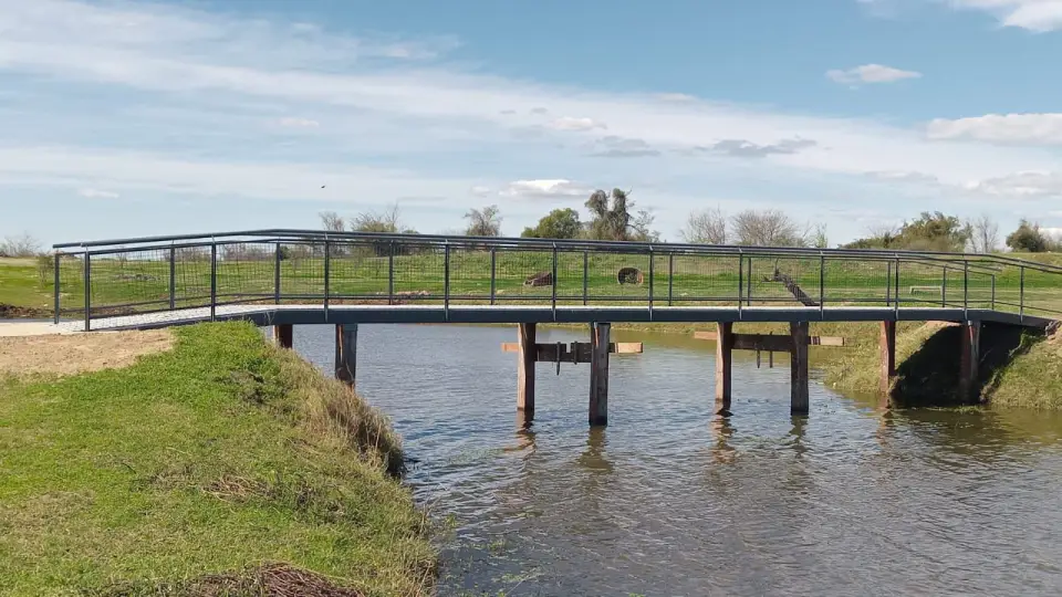 Puentes Parque de la ciudad