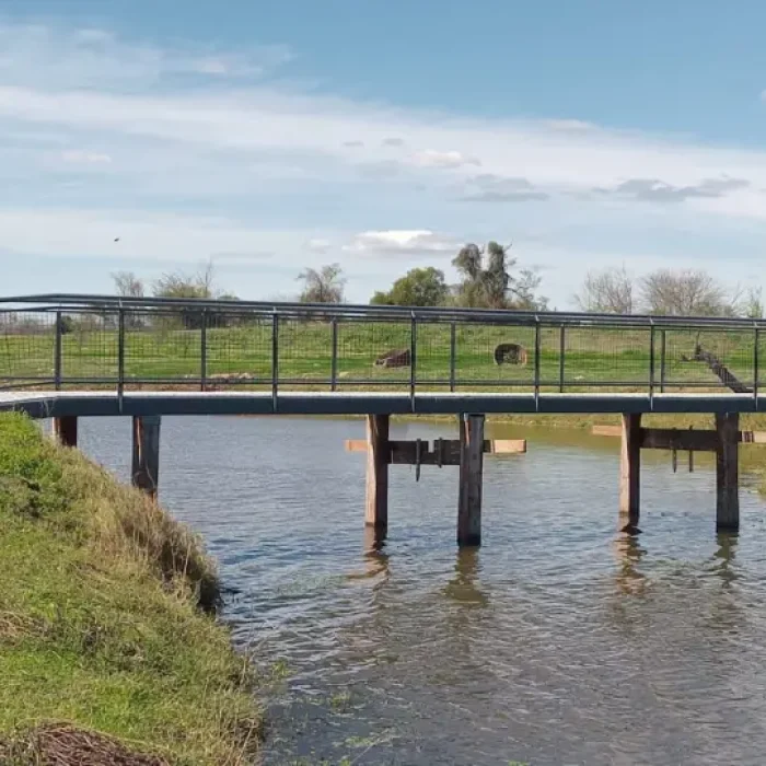 Puentes Parque de la ciudad